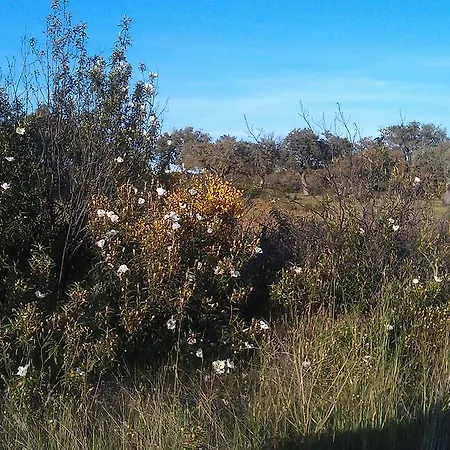 Rincon Del Salvador 2 Daire Plasencia