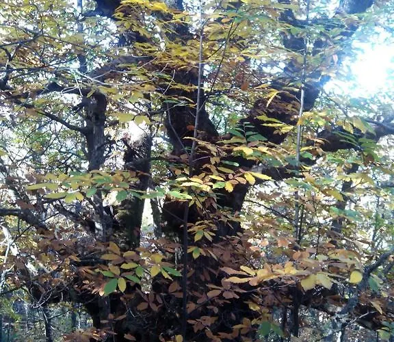 Apartamento Rincón Del Salvador 2 *