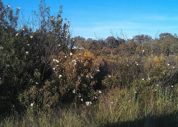 Rincon Del Salvador 2 Appartement Plasencia